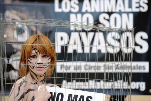 NO a los circos con animales