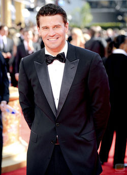 David Boreanaz