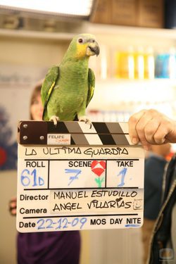 El loro de \'Farmacia de guardia\'