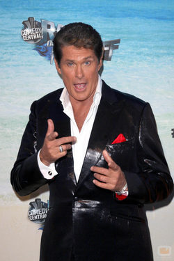 David Hasselhoff