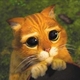 El gato con botas de Shrek