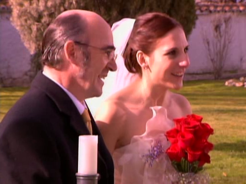 Bodas en serie
