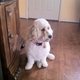 Molly