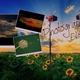 http://photographyeditions.blogspot.com/