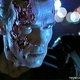 Yo, Terminator I