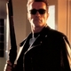 Yo, Terminator VI