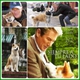 Hachiko, Siempre a tu Lado
