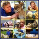 Veterinario al Rescate