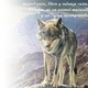 lobo