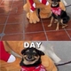 Felicidad