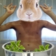 conejo pal verano lo mas sano