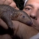 frank y el pangolín
