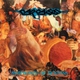 Carcass