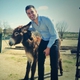 Un burro rescatado por Wings of heart