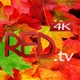 Avatar Otoño 2014