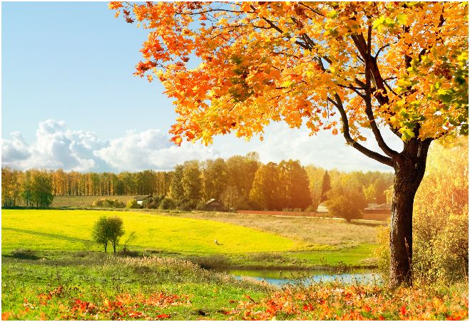 Otoño