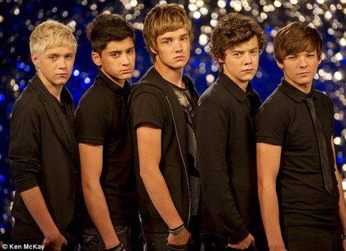The X Factor 2010: Y los 12 elegidos son... (Castings incluidos)