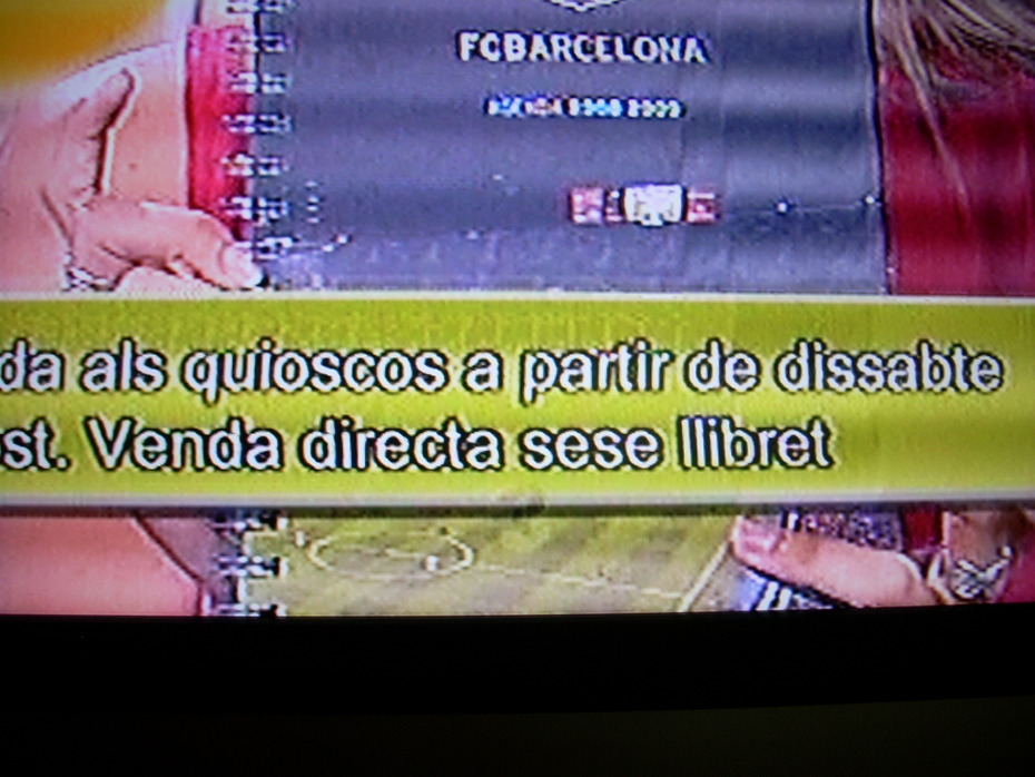 8TV: destrossant la llengua catalana 3