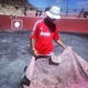 De capea