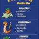Pokémon casero