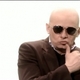 miki pitbull