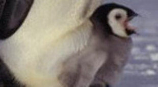 'Planeta Tierra' llega al ecuador de sus emisiones con cerca de 1,5 millones de seguidores