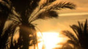 'Madrileños por el mundo' vapulea a 'Españoles en el mundo' en la Comunidad de Madrid