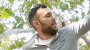 'Supervivientes: Tierra de nadie' arrasa de nuevo (23,1%) y 'Perdida' no remonta el vuelo (6,8%)