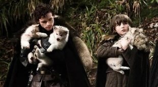 Muere Odin, el lobo huargo de Bran Stark en 'Juego de Tronos', de cáncer