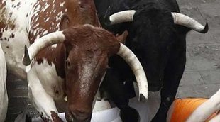 Pamplona cancela los Sanfermines por la crisis del coronavirus