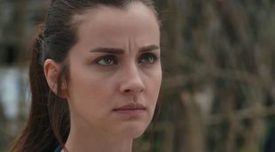 'Fugitiva' y 'El cascabel' se reparten el liderazgo de la noche