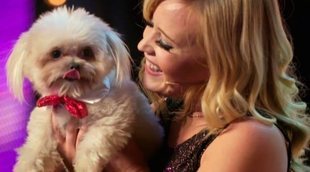 'Got Talent: Lo mejor del mundo' (9,8%) lidera pese a su bajada y 'Comando al sol' se estrena con un pobre 7%