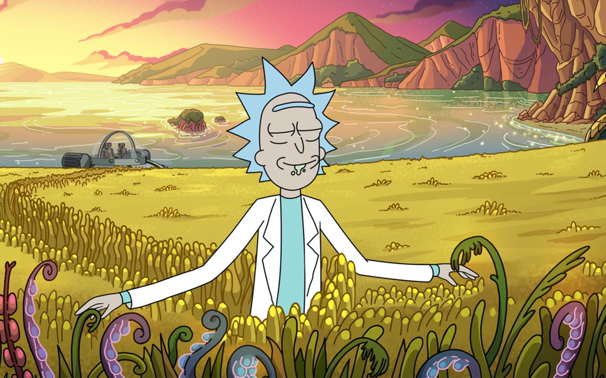 Las mejores ofertas en merchandising, DVD y tecnología: 'Rick y Morty', 'Crónicas vampíricas'
