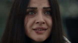 'Fugitiva' (3,9%) lidera en una jornada en la que arrasa Nova con sus series entre lo más visto