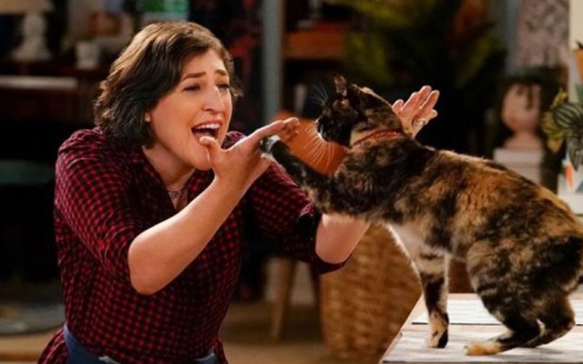 'Call me Kat' destaca en la jornada de estrenos de Fox en una noche dominada por el fútbol