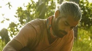 'Survivor' vence en la batalla de las finales frente a 'The Masked Singer'