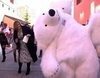 'Sálvame' recrea la peculiar cabalgata con el "oso perjudicado" de Cádiz
