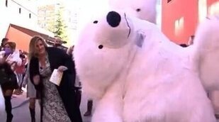 'Sálvame' recrea la peculiar cabalgata con el "oso perjudicado" de Cádiz