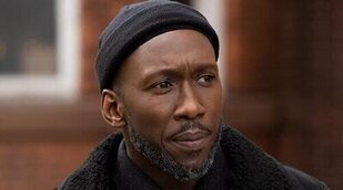 Hulu encarga 'The Plot' y 'Reboot' y FX da luz verde a 'Kindred'