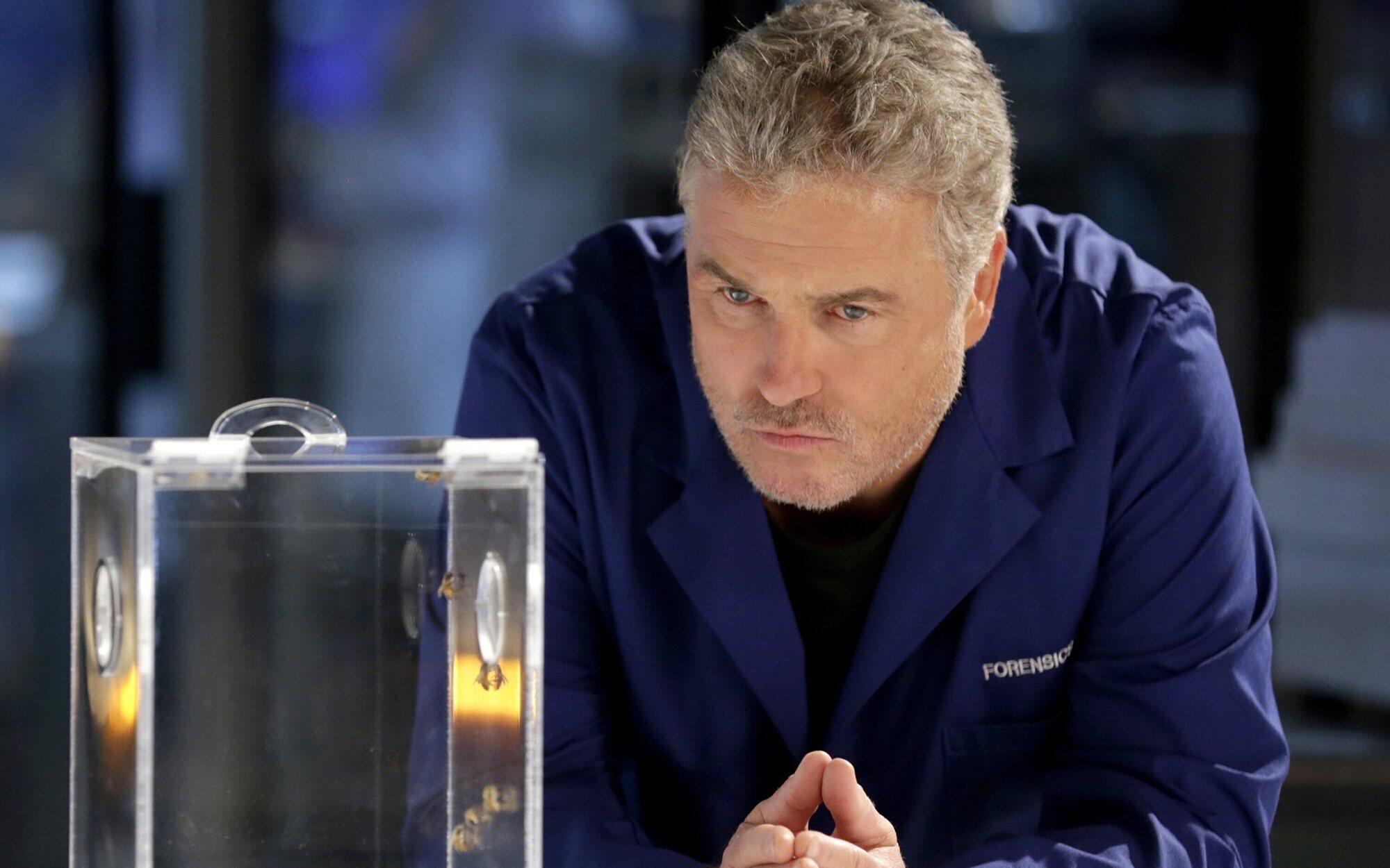 Telecinco estrena 'CSI: Vegas' el lunes 1 de agosto