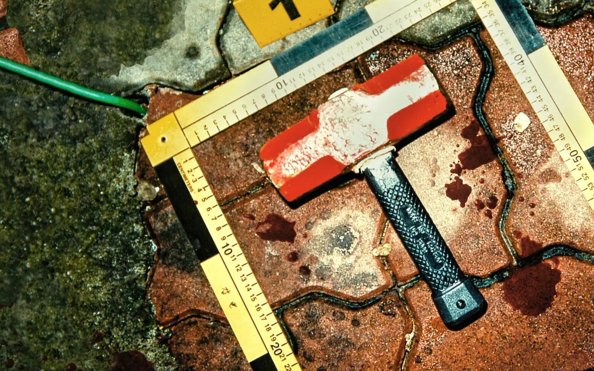 El terror real: 10 true crimes que dan mucho miedo