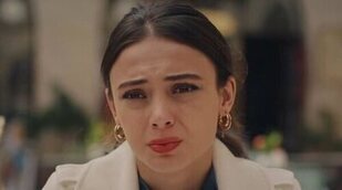 FDF desbanca a Energy y Nova se mantiene en la pugna gracias a 'Melek' y 'Bellas calamidades'