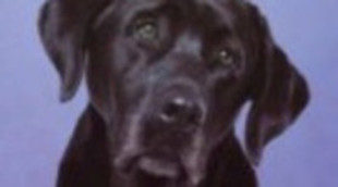 'A Dog Named Christmas' mejora a 'Caso abierto' y 'Three Rivers' en CBS