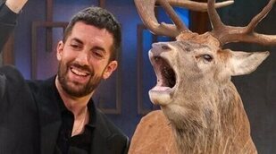 La curva de audiencia de 'La revuelta' contra 'El hormiguero' en su entrega histórica con 13 minutos de animales