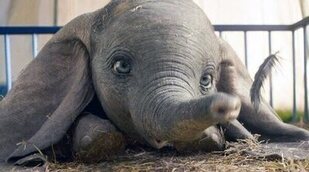 'CSI' domina la jornada en Energy con 'Dumbo' (3,2%) llevándose la medalla de plata