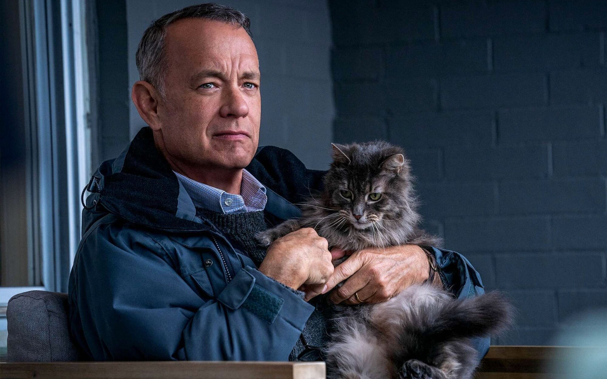 El cine de La 1 (12,3%) vuelve a liderar frente a 'Una nueva vida' (11,5%) y el mínimo de 'CQC' (6,6%)