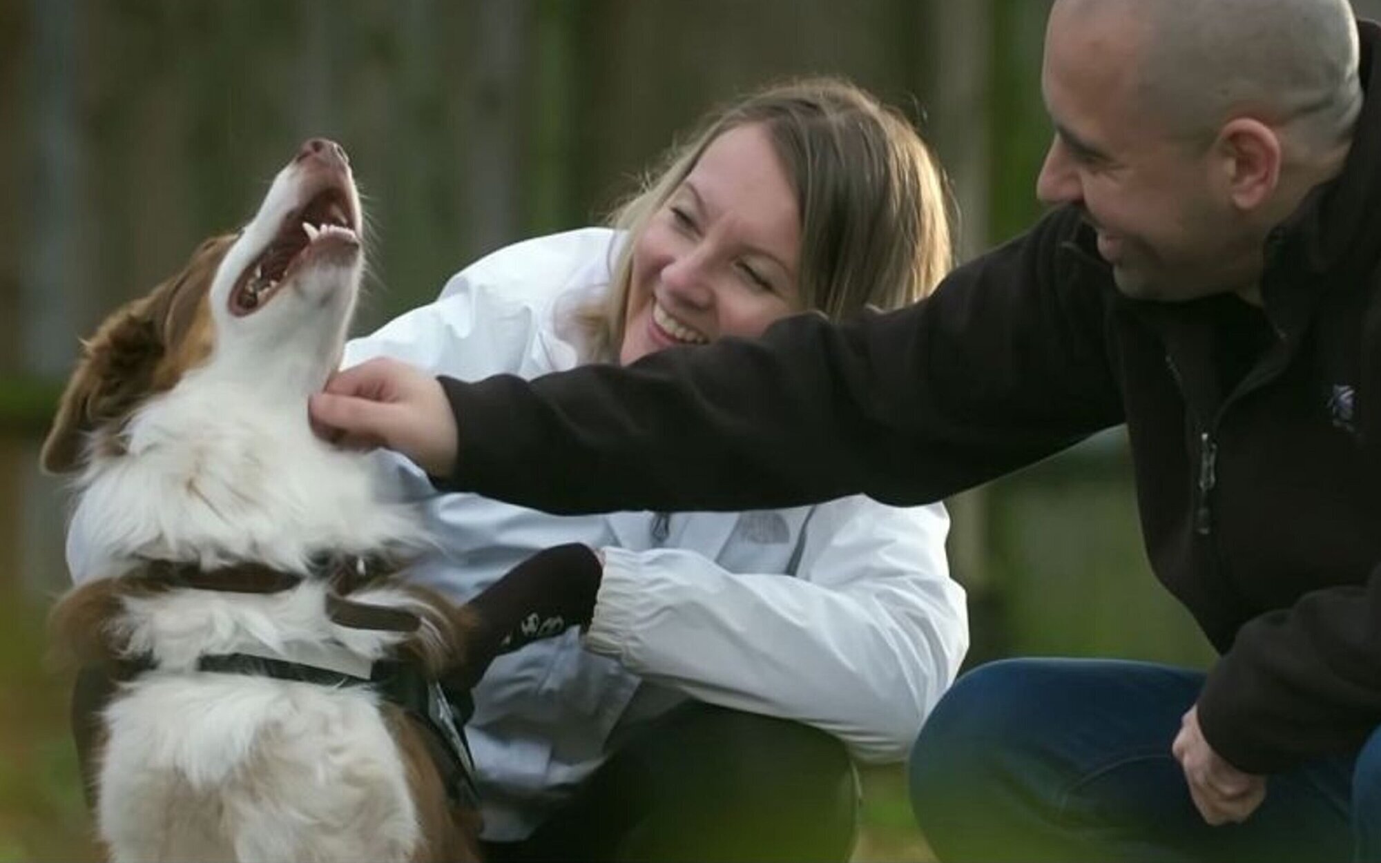 RTVE anuncia 'Dog House', un programa que visibiliza la adopción de perros