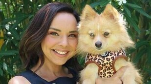 'Dog House' debuta con un 9% frente a la bajada de 'Renacer' (9,7%) y la subida de 'El gran show' (8,3%)