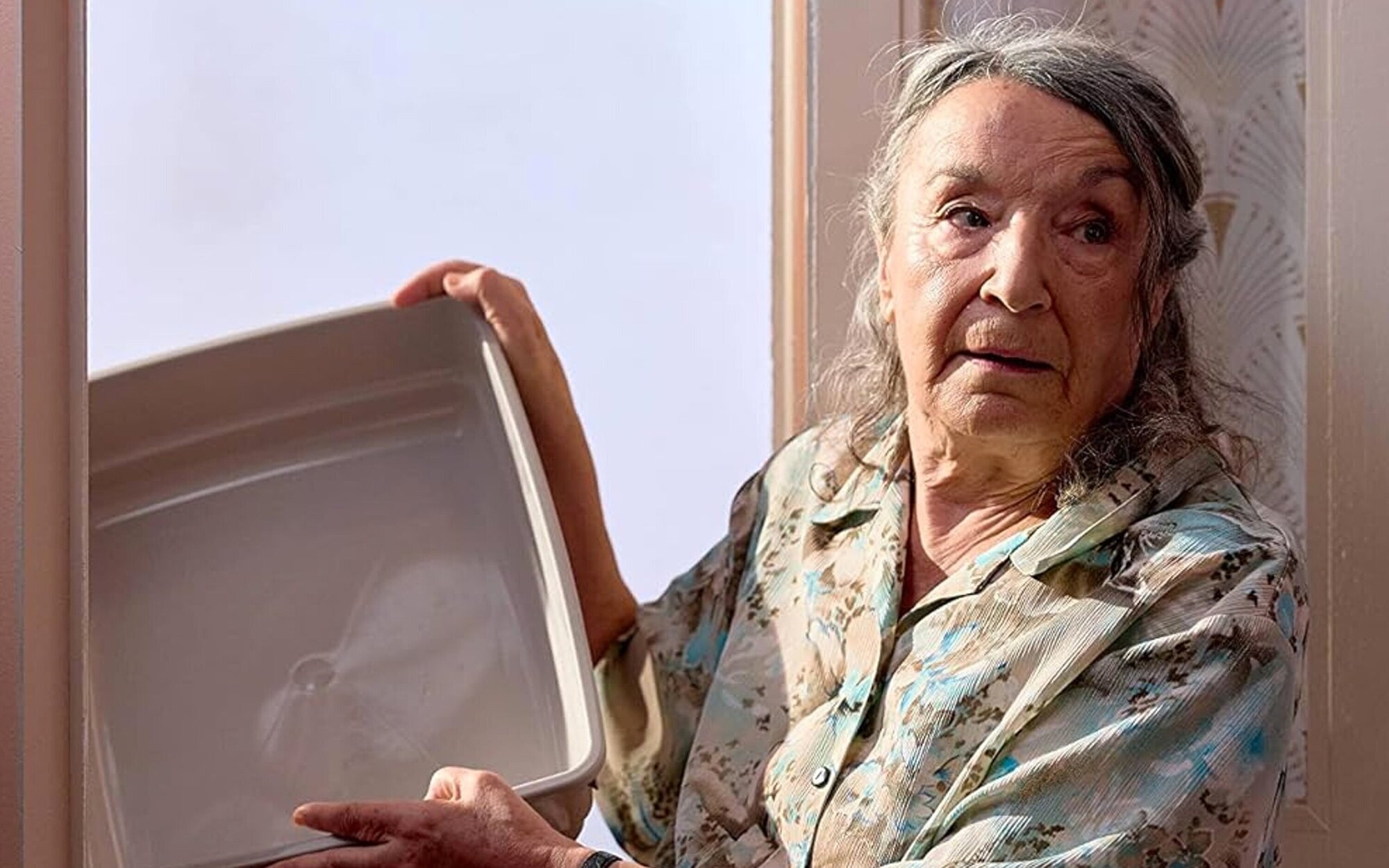 FDF (3%) domina la jornada con 'La que se avecina' a la cabeza y el cine supera a 'Emanet'