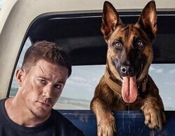 'Viaje al centro de la tele' y 'El Peliculón' (10,2%) de Antena 3 se reparten la noche del viernes